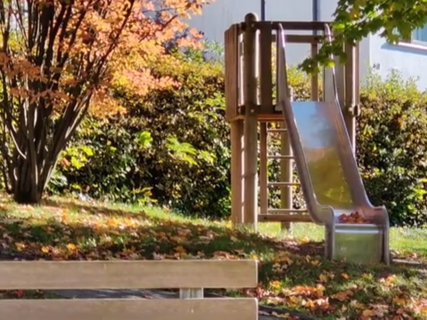 Oplus_131072 Oplus_131072