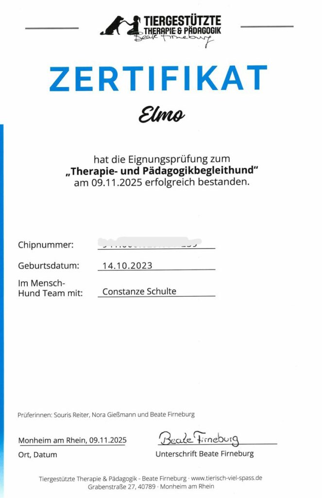 Zertifikat Elmo